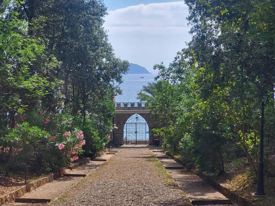 Garden, Garden, Garden view, Sea view