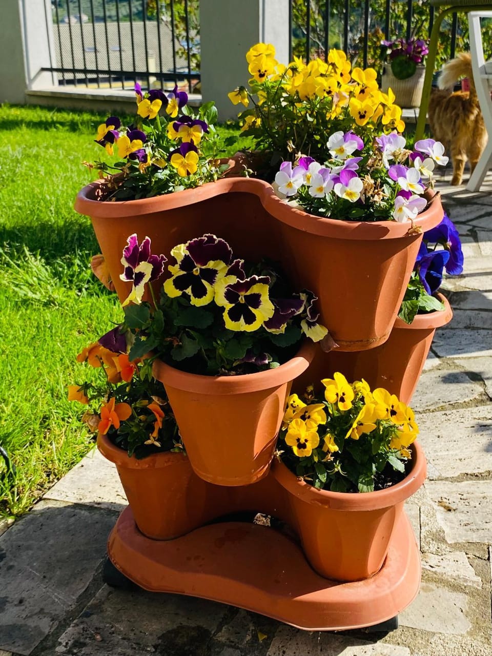 Dimora Il Campanile Bed and Breakfast in Abruzzo