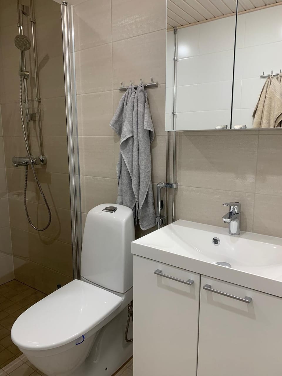 Shower, Toilet, Bathroom, towels