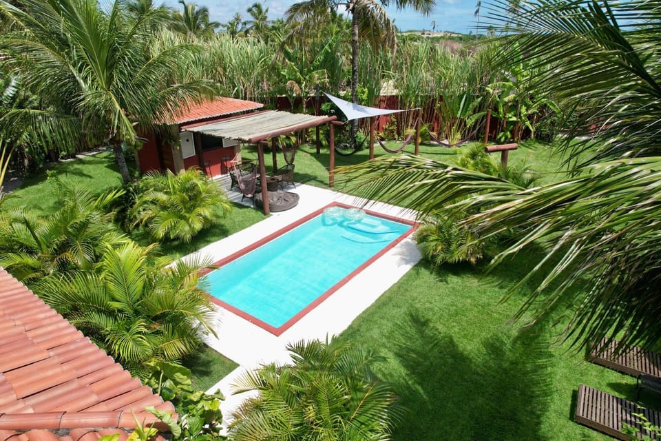 Garden, Garden view, Pool view, Swimming pool, sunbed