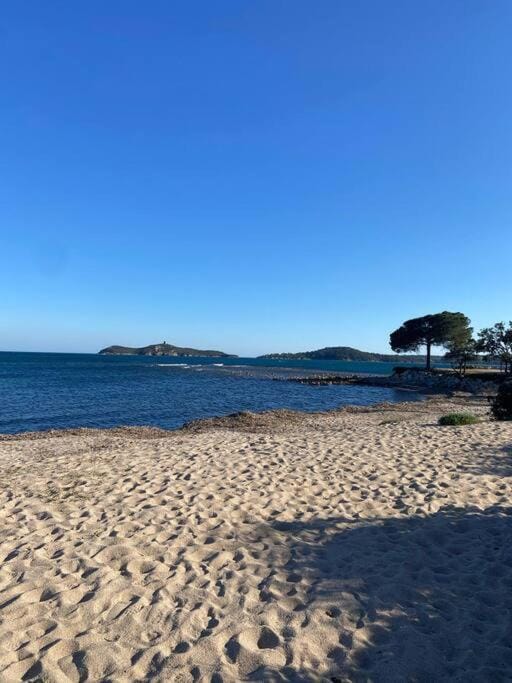 Nearby landmark, Beach