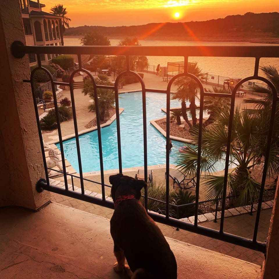 Natural landscape, View (from property/room), Balcony/Terrace, Pets, Lake view, Pool view, Swimming pool, Sunrise