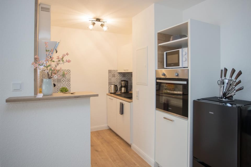 Kitchen or kitchenette, dishwasher, minibar, pet friendly, stove