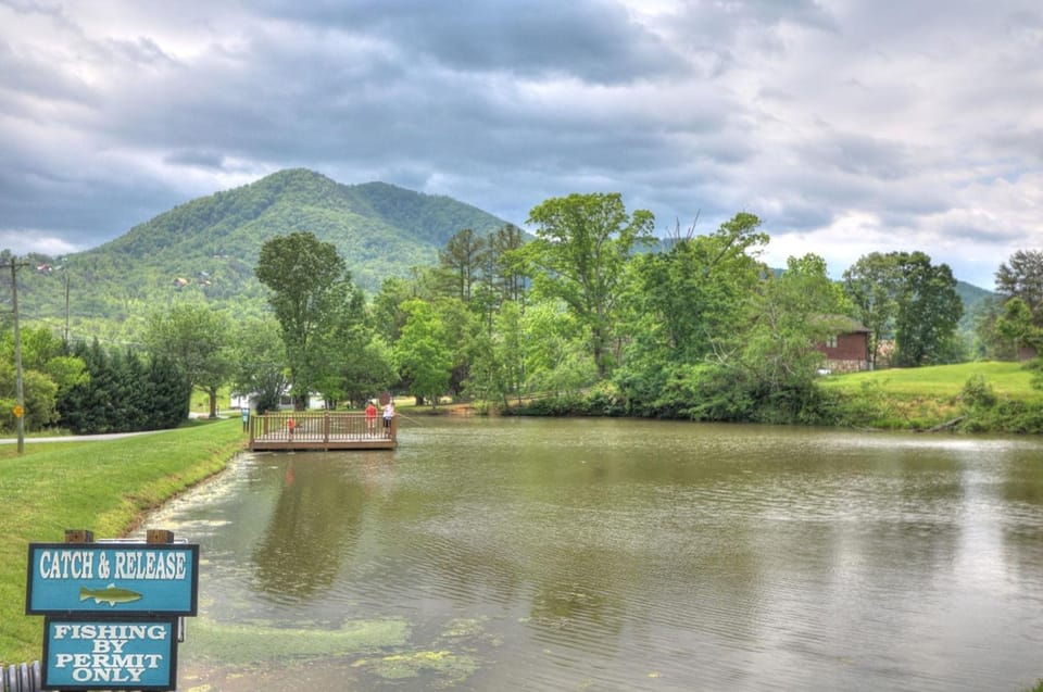 Bear Tracks Lodge cabin Cabin in Sevier County
