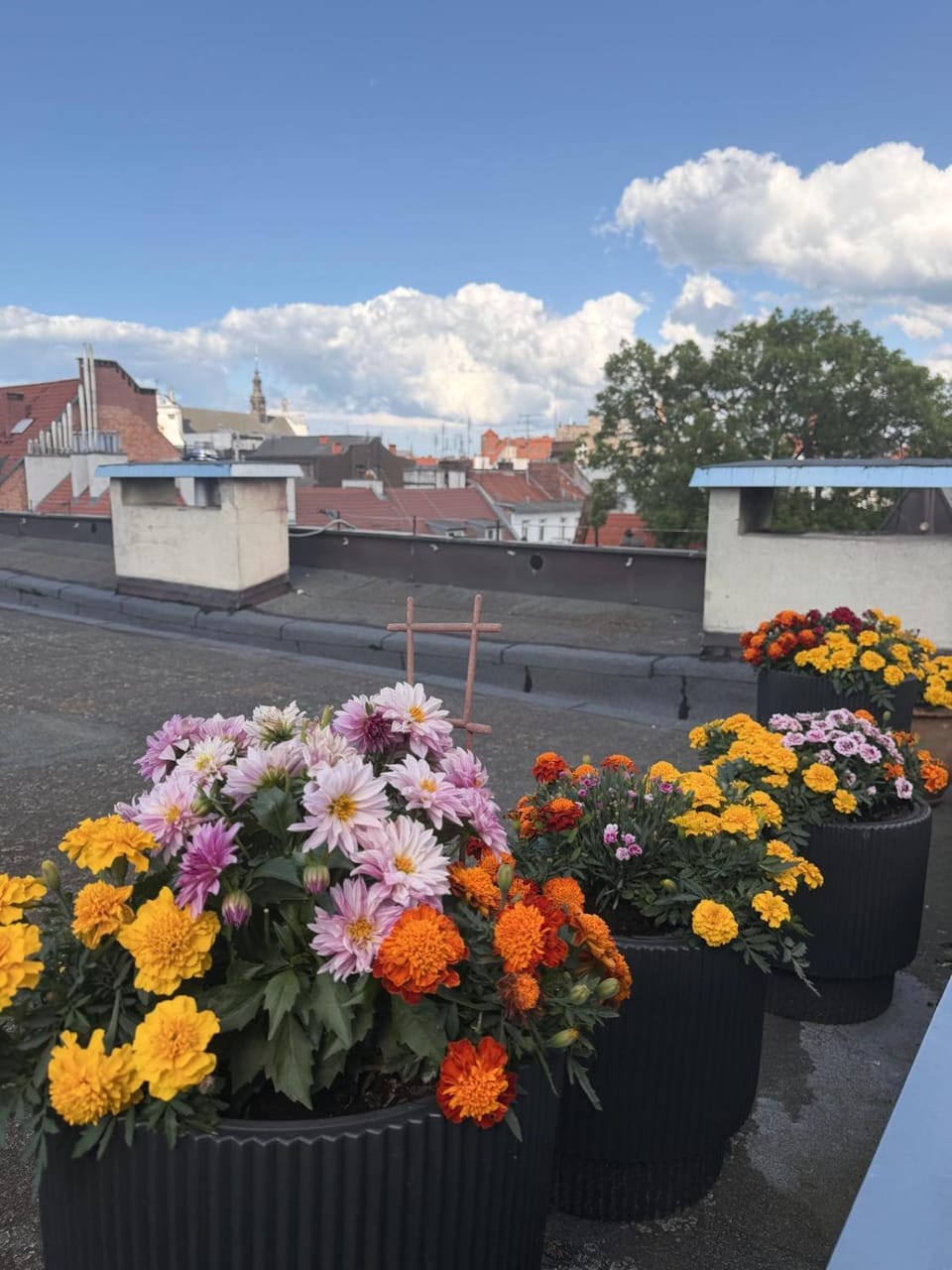 3-Bedroom Apt in Town Square Apartment in Wroclaw