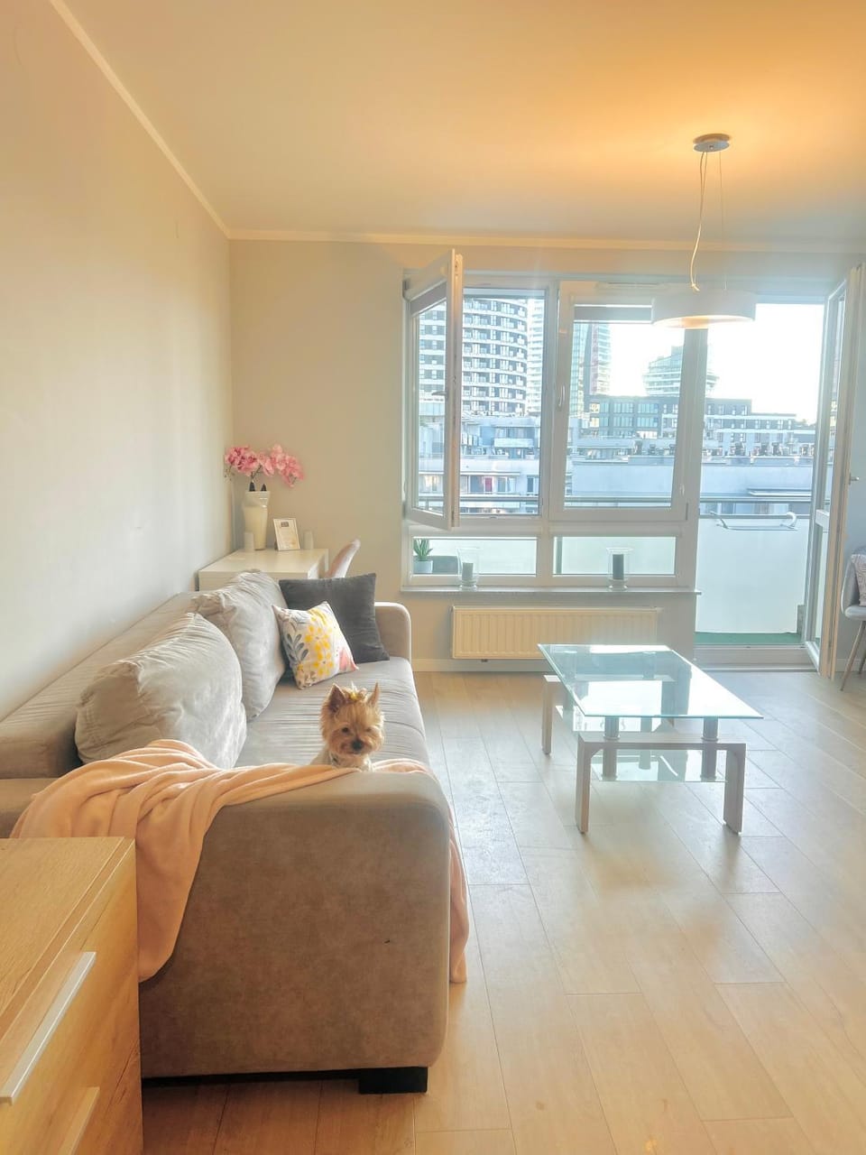 View (from property/room), Living room, City view