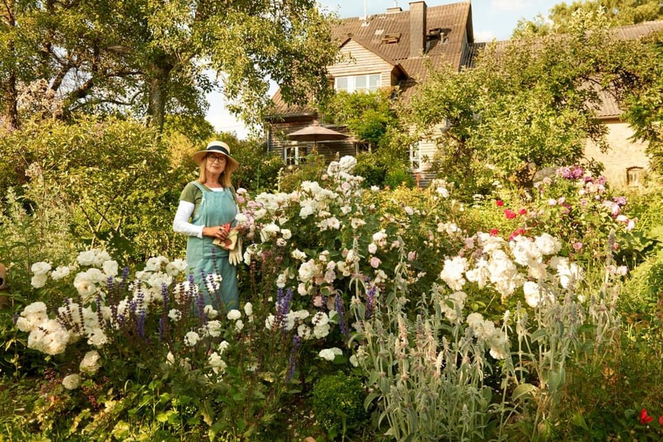 All Seasons Bed & Breakfast Bed and Breakfast in Vulkaneifel