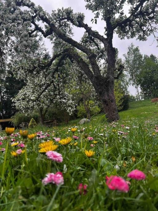 Apartament w ,chlewiku” Apartment in Lithuania