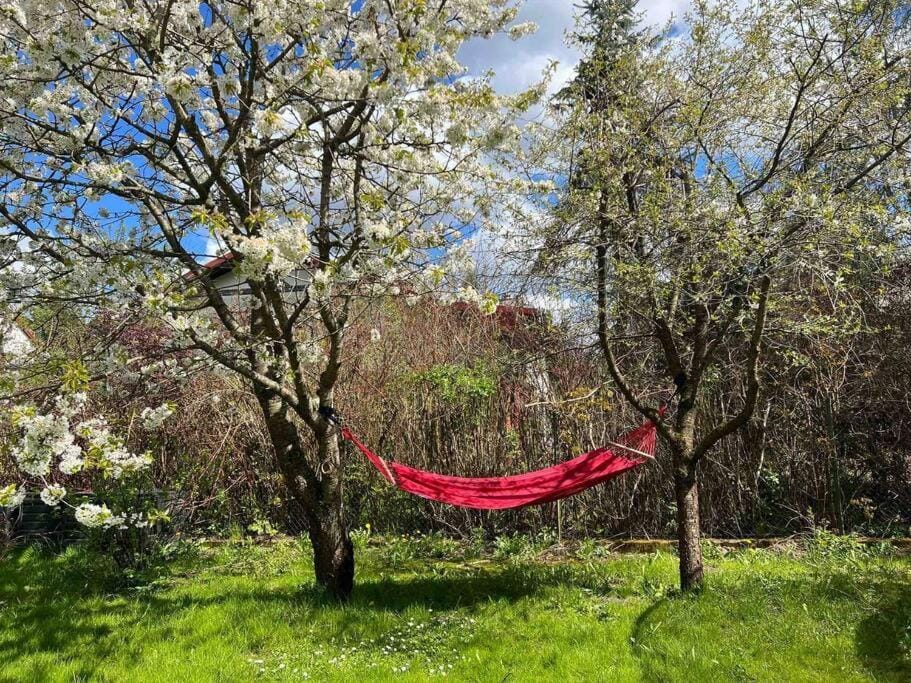 Apartament w ,chlewiku” Apartment in Lithuania