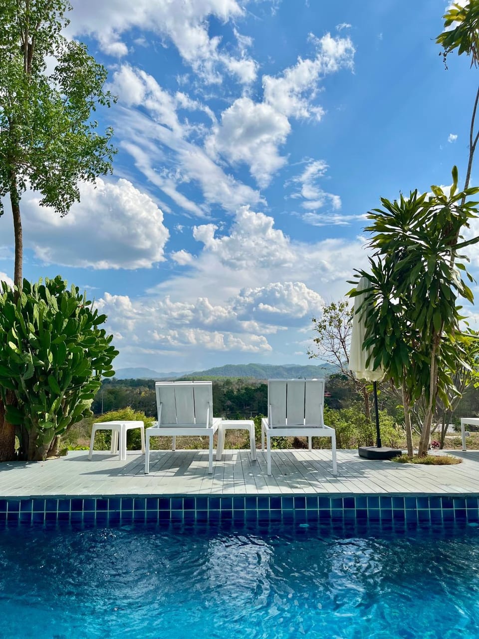 Garden view