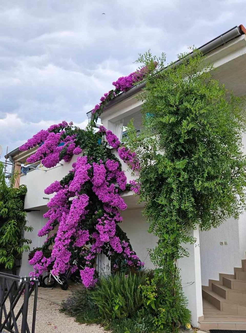 Apartman Legac 2 Nin Apartment in Zadar County