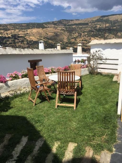 Garden, Garden