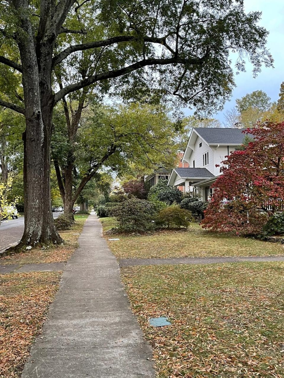 Walk to Duke Campus! 1 Bedroom in Trinity Park! House in Durham