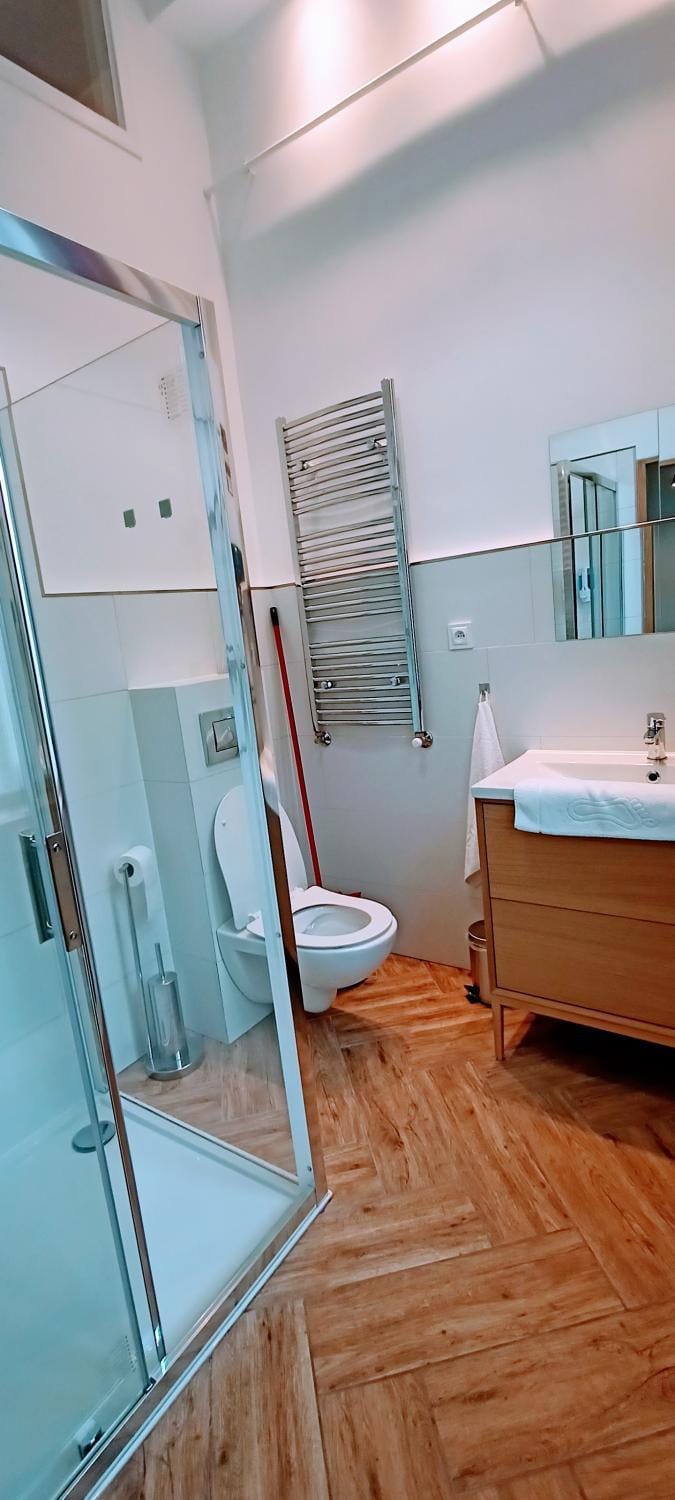 Shower, Toilet, Bathroom, towels
