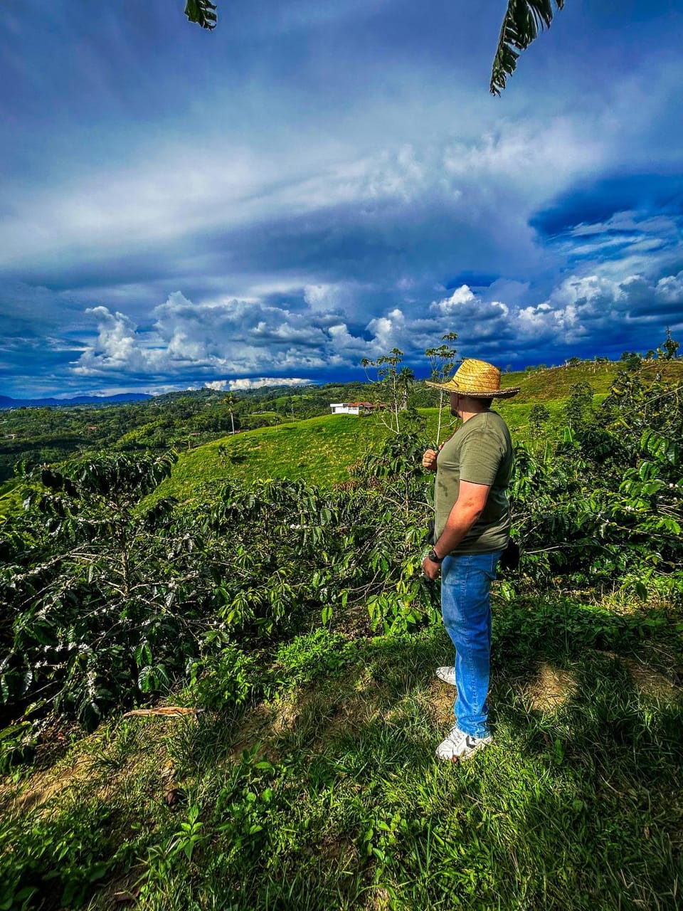 Finca Cafetera Madrigal - Café Sortiz Country House in Quindio, Colombia