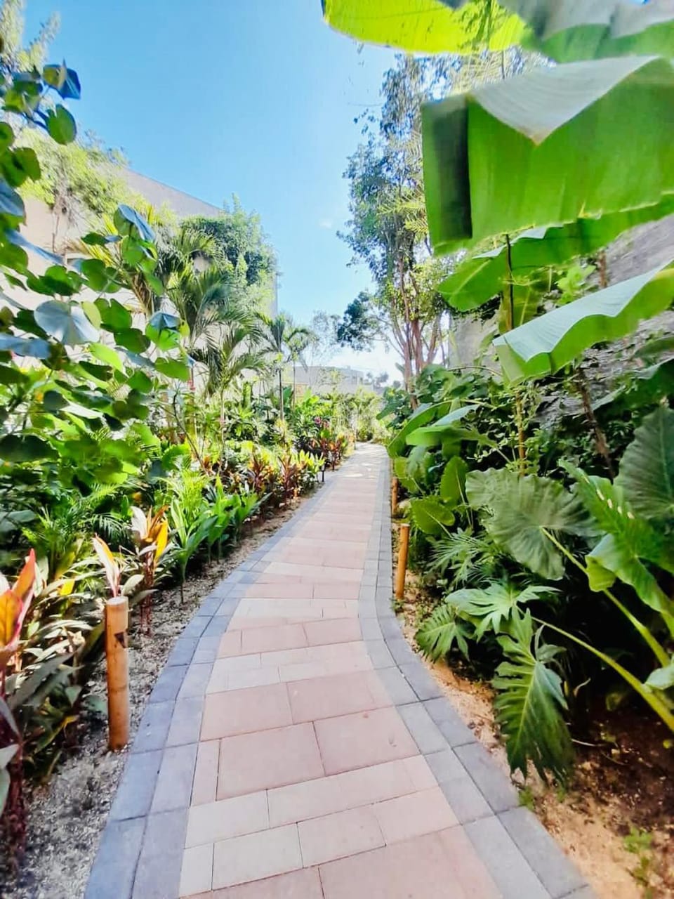 Adora Tulum Apartment in State of Quintana Roo
