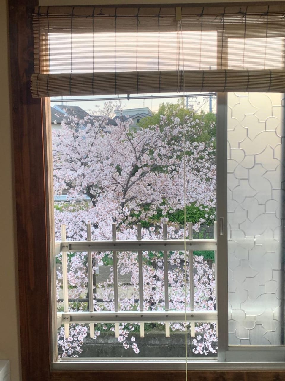 View (from property/room)