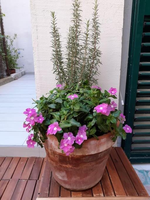 Day, Garden, Balcony/Terrace, Garden view