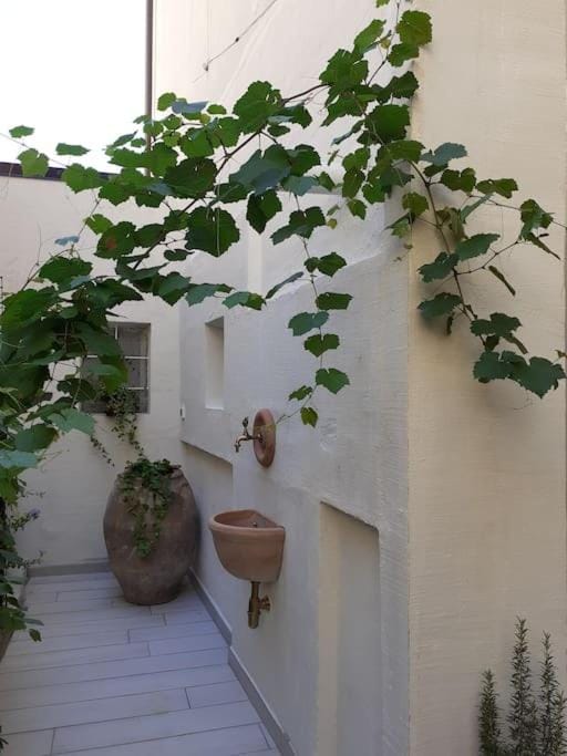 Day, Garden, Garden view