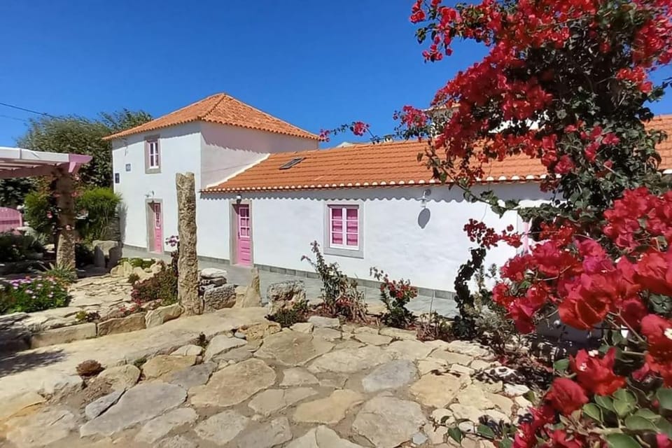 Property building, Day, Garden