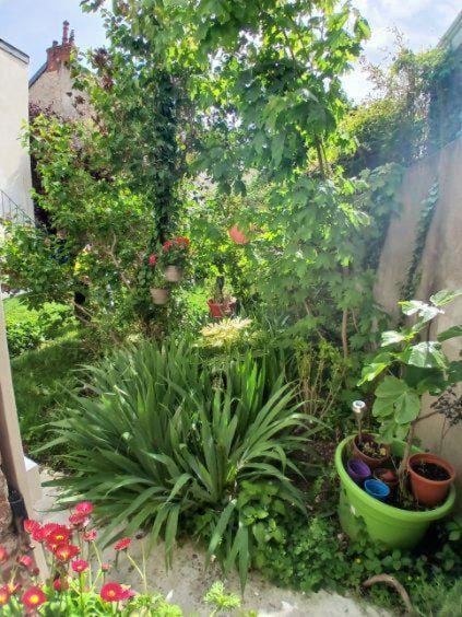 Appart Rez de jardin Apartment in Dijon
