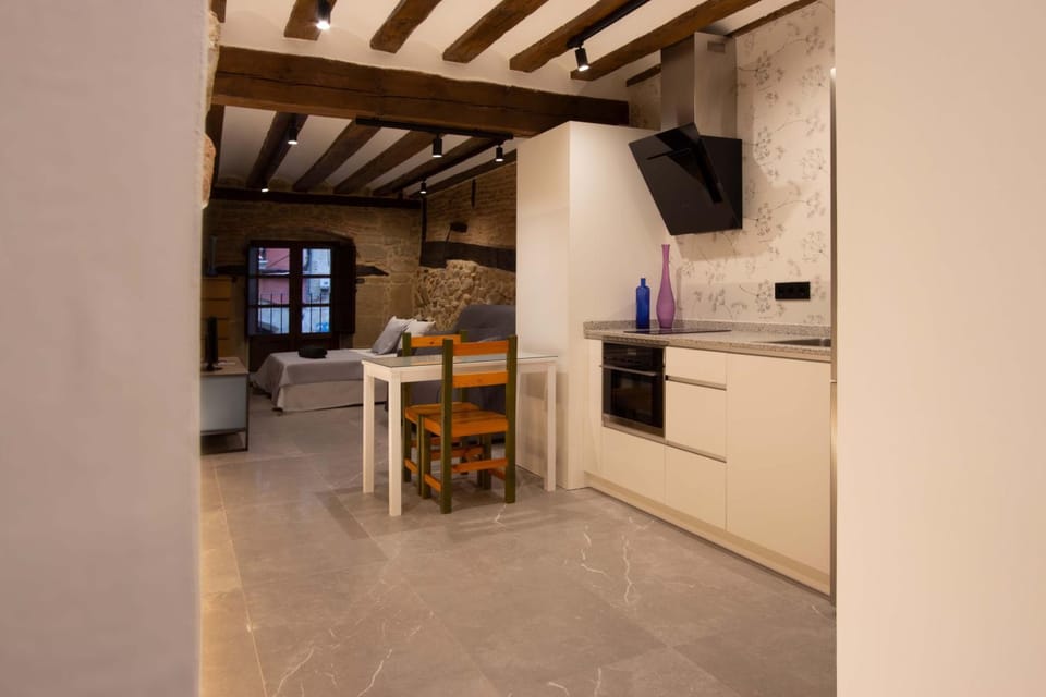 Loft Palacio del Marqués en Logroño Apartment in Logrono
