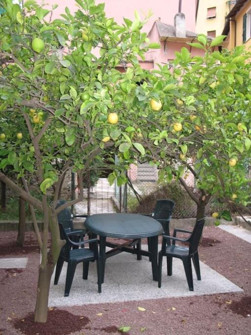 Apartment with private Garden Apartment in Finale Ligure