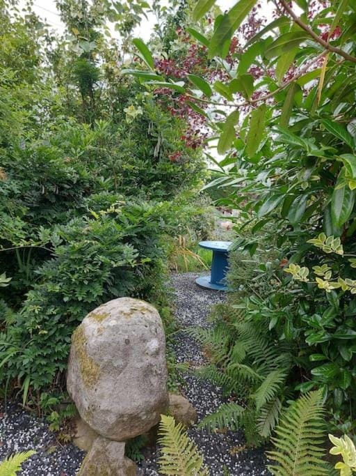 Natural landscape, Garden