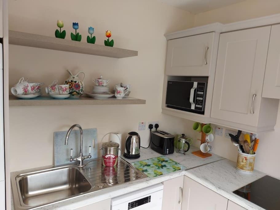 Coffee/tea facilities, Kitchen or kitchenette, minibar, pet friendly, stove, toaster
