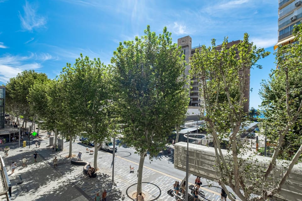 Day, Neighbourhood, Street view, Location