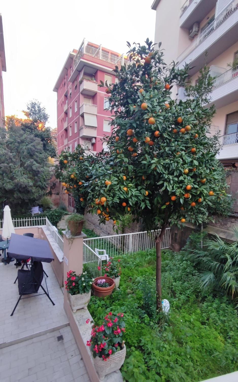 Balcony/Terrace