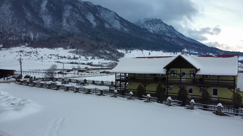Property building, Winter