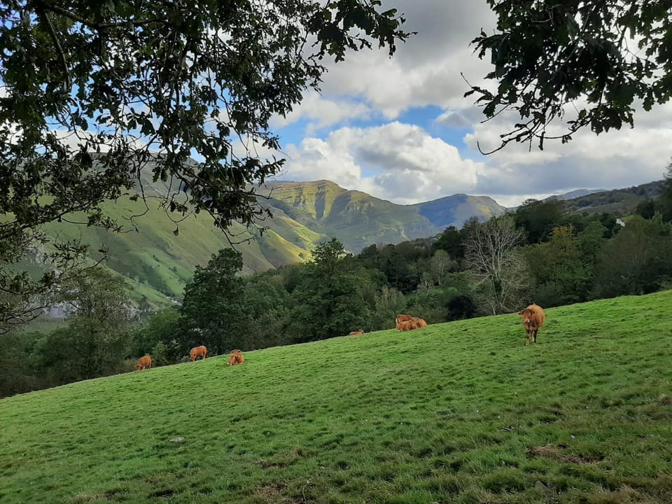 Natural landscape