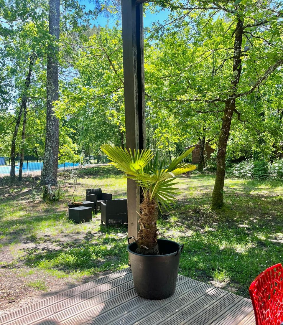 Garden, Garden view