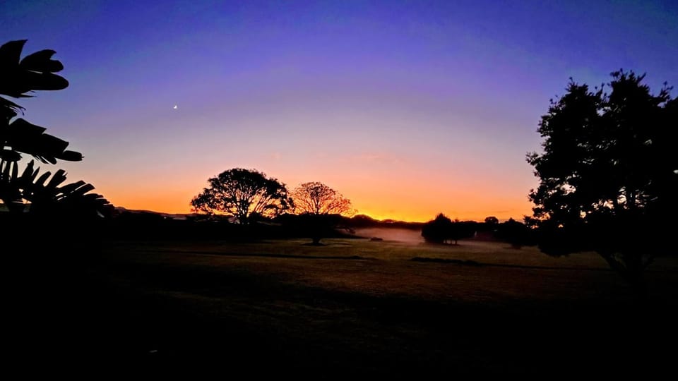 Natural landscape, Garden, Sunrise