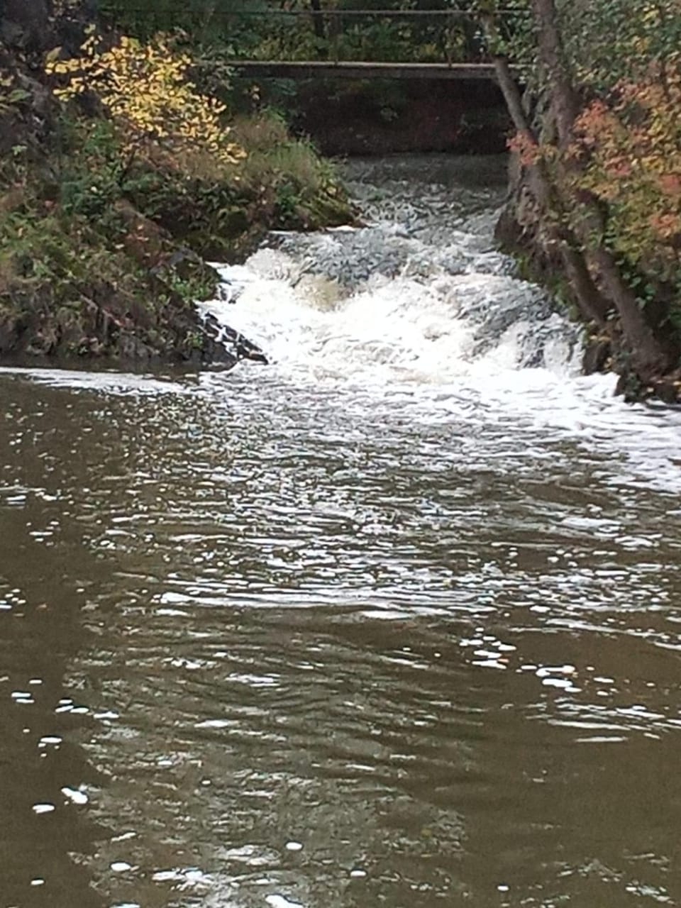 River view
