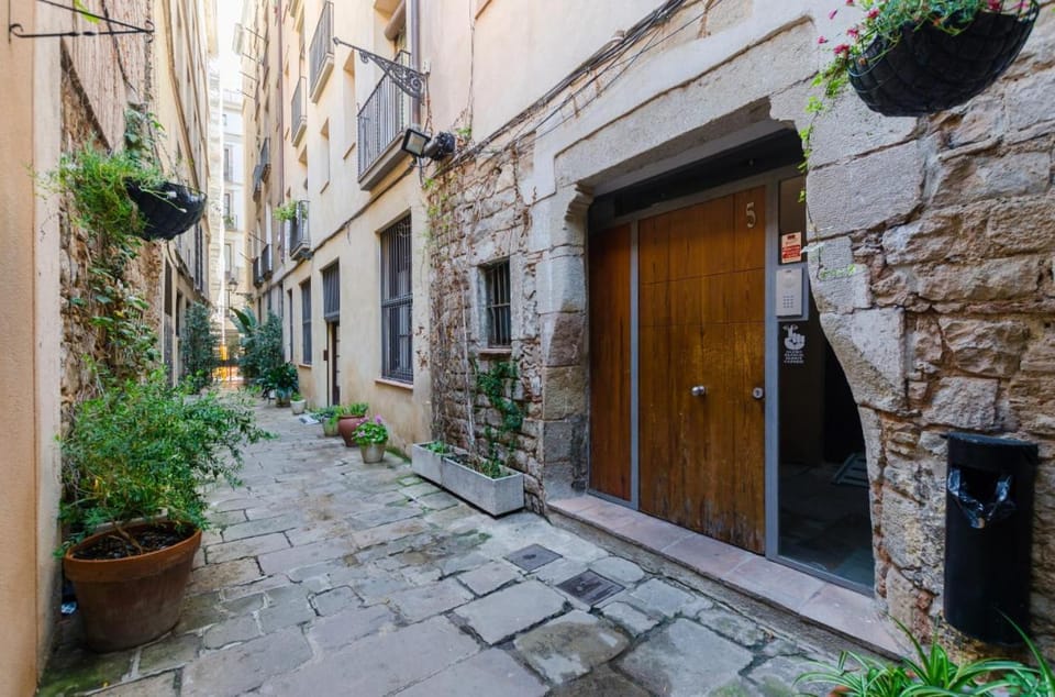Property building, Street view
