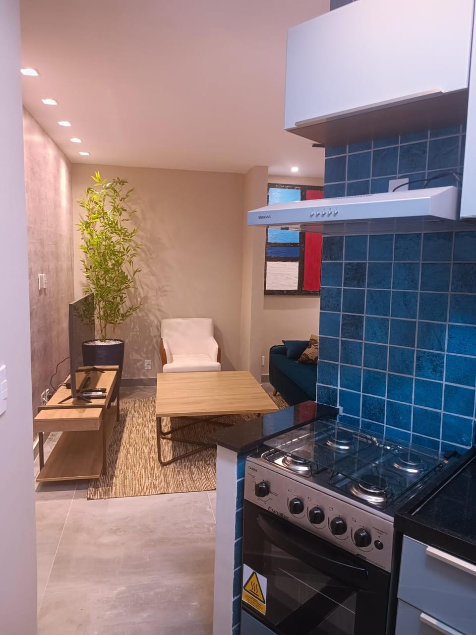 PIRAGIBE FROTA AGUIAR Apartment in Rio de Janeiro