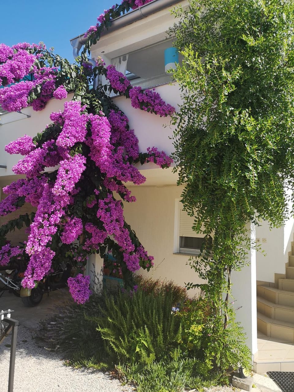 Apartman Legac 1 Nin Apartment in Zadar County