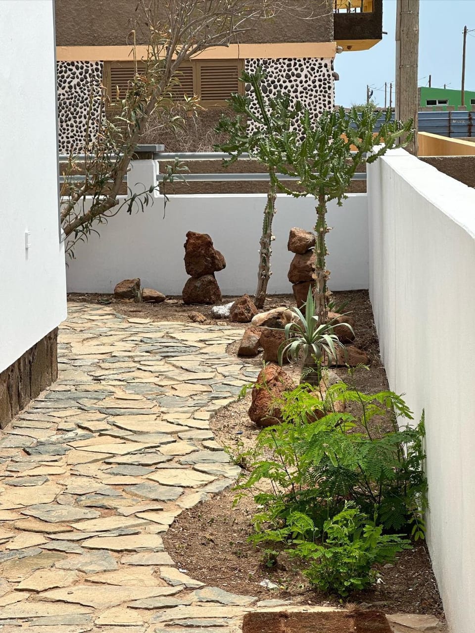 Garden view