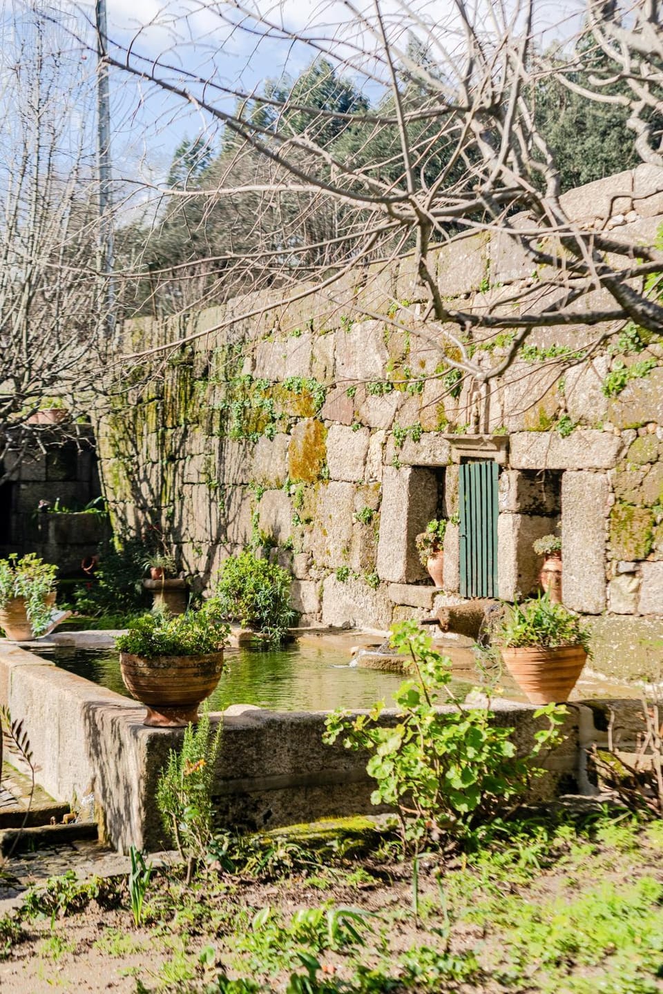 Spring, Garden, Inner courtyard view