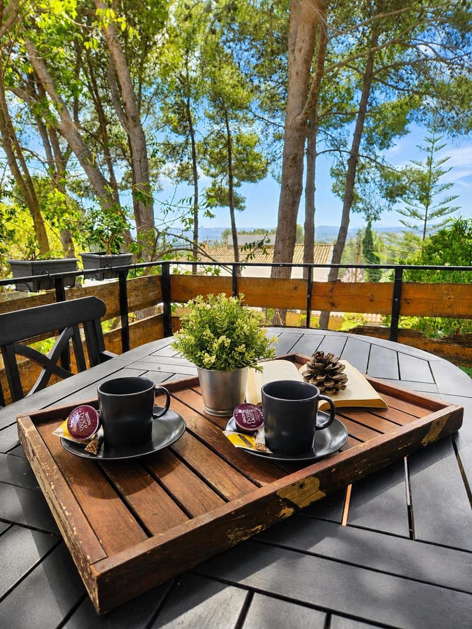 Balcony/Terrace