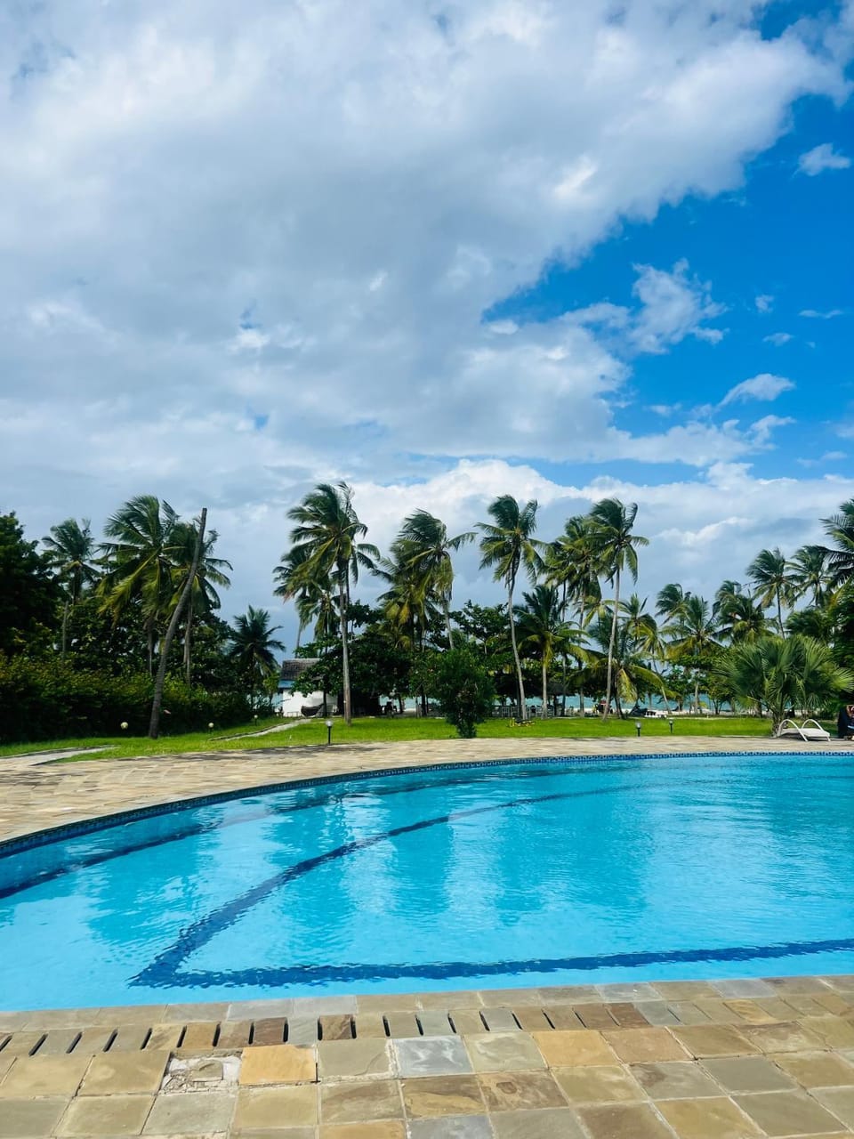 Swimming pool, Swimming pool