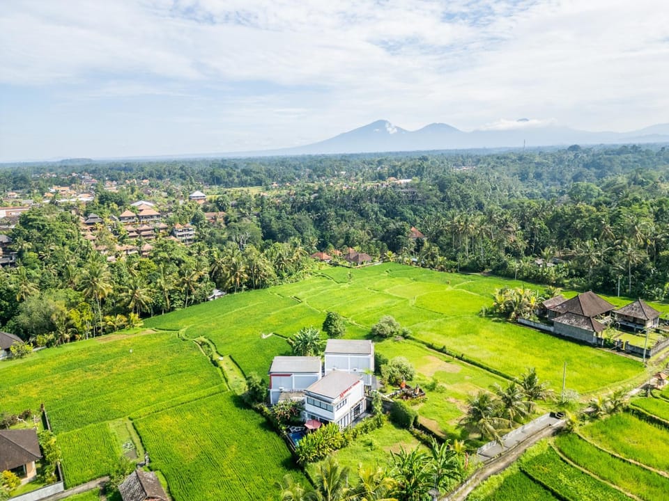 Property building, Spring, Natural landscape, View (from property/room), Landmark view, Mountain view, Mountain view