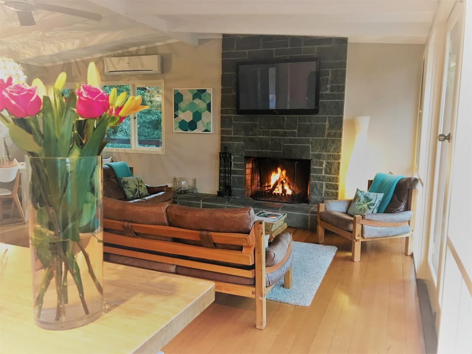 TV and multimedia, Living room, Seating area, fireplace, air conditioner