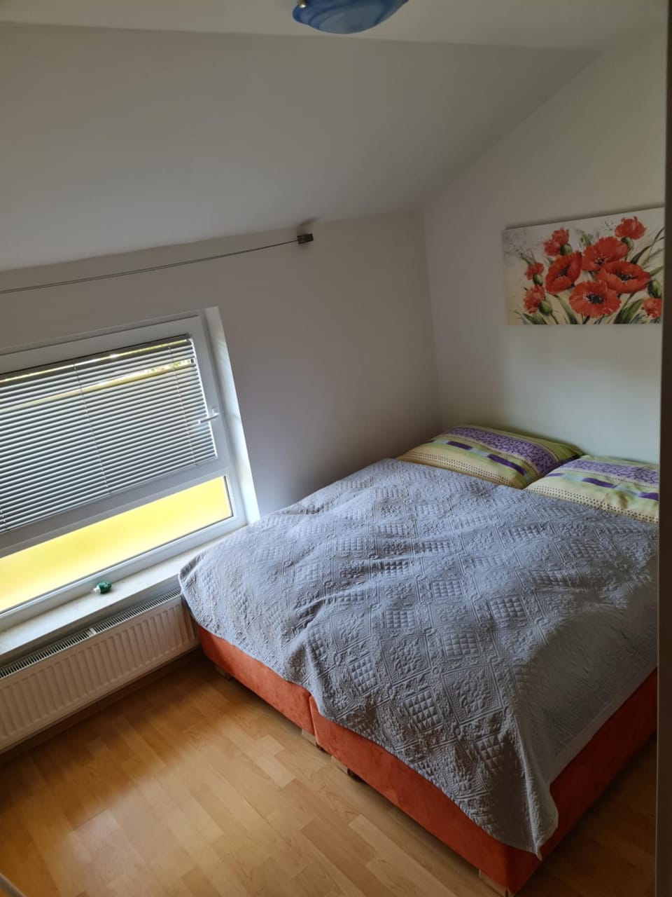 Apartment Carolina Apartment in Slovenia