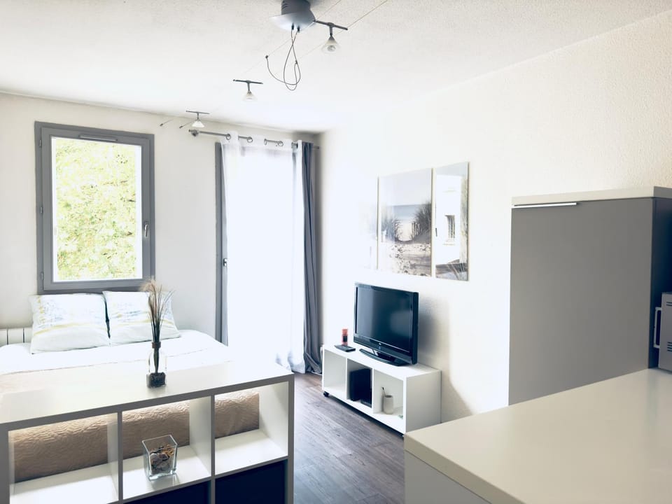 *Le CityZen*15min du centre à pied+parking gratuit Apartment in Annecy
