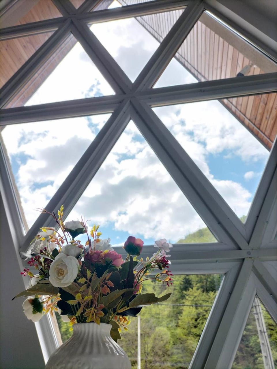 Cabana All Seasons Chalet in Romania