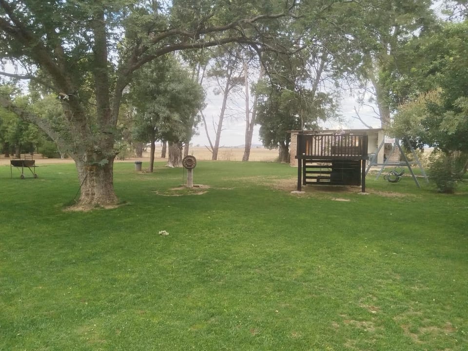 Children play ground, Garden, Garden view
