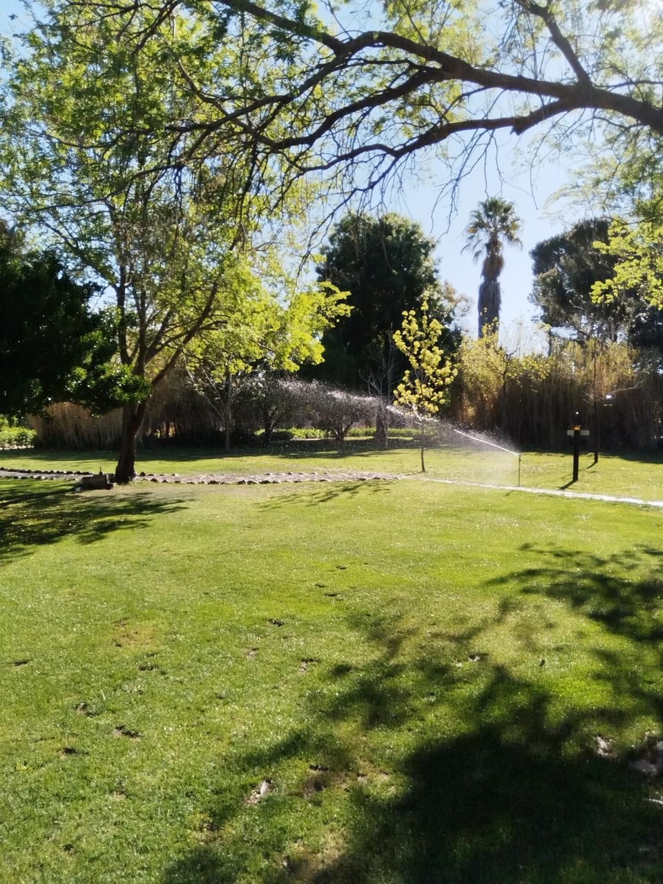 Day, Garden view